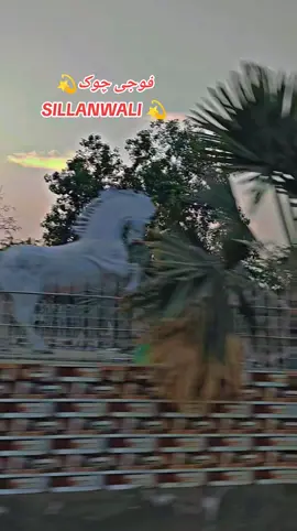 foje Chok sillanwali #CapCut #muغal👑 #sargodha #sillanwali_sargodha #فولو #viral_video #trendingvideo #sillanwali #videoviral #videoviral #viral #CapCut #1m 