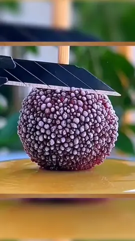 عِشْت 30 سنة وأنا أقطع الفواكه غلط؟! 😱 (8 حيل صينية مذهلة هتخلي ضيوفك يطلبوك!) 🍉✨ #حيل_الفواكه_السحرية #حيل_صينية_مذهلة #حيل_منزلية_2025 #تقطيع_الفواكه_بالطريقة_الصحيحة #نصائح_مطبخية #حيل_للضيوف #حياتك_أسهل #إبداع_في_5_ثواني #مطبخ_سريع #لا_تنسى_اللايك #فواكه_بلمسة_فنان #هاشتاق_الاكل #طرق_تقطيع_جديدة 