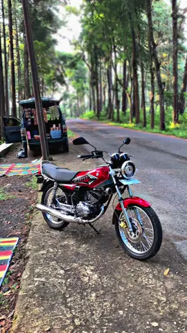 Paidomu smngatku mas🙊#rxkingviral #fyp #yrki_indonesia #rxkingindonesia 