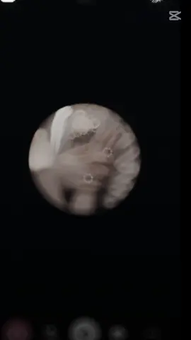 #لايك_متابعه_اكسبلور #كسبلور #كسبلور...... يروحي انتي فدوه اروحلج اني يبعد العافيه وهلهله ☺️❤💃🏻