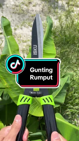 Yg cari gunting rumput tajem anti karat nih ada dri isku mantep banget dah #guntingrumput #isku #guntingrumput 