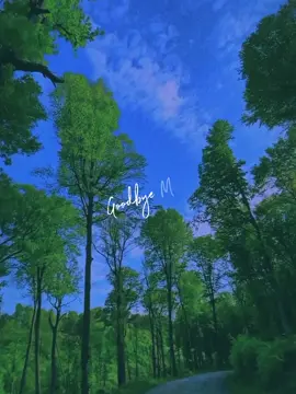 #CapCut #goodbyemaythankyou #fypfypfypfypfypfypfypfypfypfypfyp #fypppppppppppppppppp #goodbyemay #thankyou #fypp #fyyyyyyyyyyyyyyyy #fypppp #newtemplate #templateforyou 