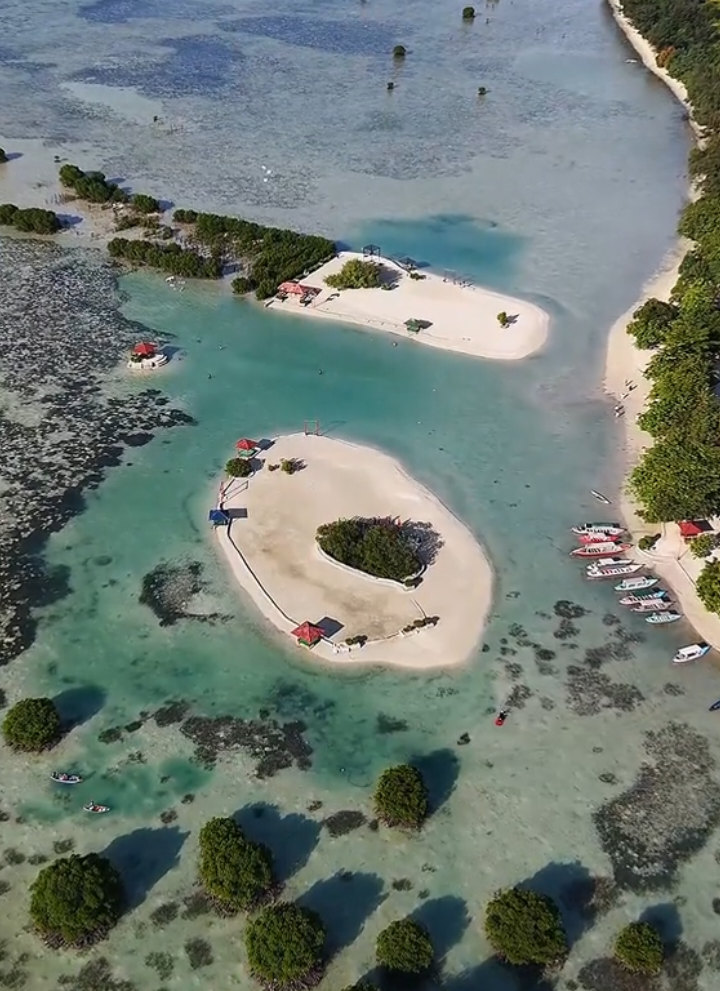 Promo Open Trip  370k/pax Yuk buruan di boking dan dapatkan Free Dokumentasi Drone yaaa untuk keberangkatan di bulan Juni  Destinasi Pulau : 🏖️ Pulau Harapan  🏖️ Pulau Pari  🏖️ Pulau Pramuka #travelzan #pulauseribu #pulauharapan #pulaupari #pulaupramuka #pulautidung #wisatapulauseribu #explorejakarta #jakartautara #opentrip #privatetrip #ayodolan #pesonaindonesia 
