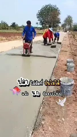 เครื่องปาดปูนติดเครื่องยนต์ รุ่น K-STD  #เทถนนคอนกรีต #เครื่องปาดปูน #ทำถนนเสร็จเร็ว #เทถนนภายในโครงการ #รับเหมา #ช่างก่อสร้าง #วัยรุ่นรับเหมา 