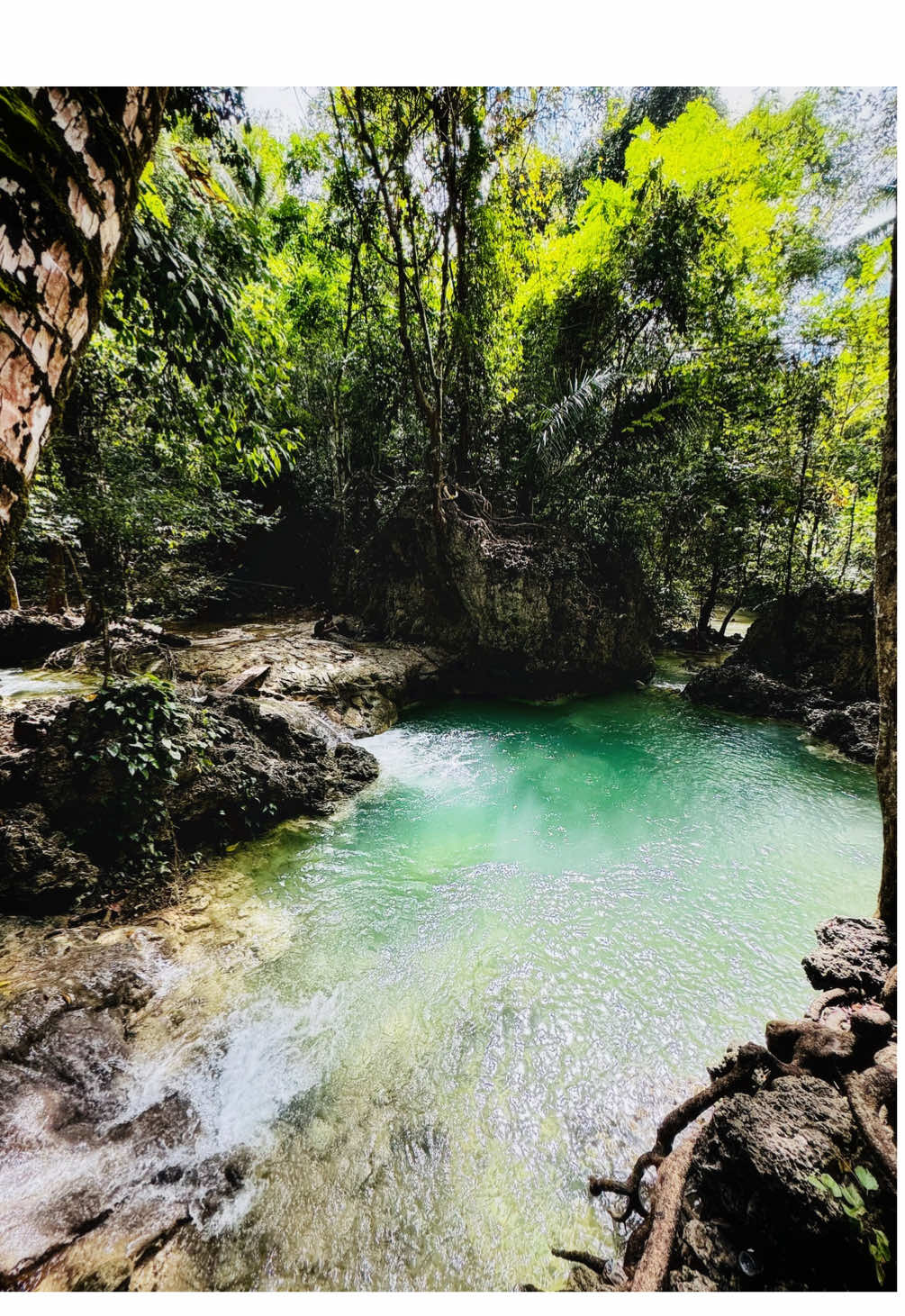 📍Fatukoa, Kota Kupang - NTT _____________________________ #nyonggalang #galangjourney #tripbarengnyonggalang #wisatantt #wisataair #dinttsa #pulautimor #kotakupang #fatukoa