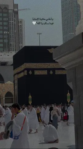 #CapCut #اللهم_صلي_على_نبينا_محمد #اللهم_انك_عفو_تحب_العفو_فاعف_عنا #حجاج_بيت_الله #هاشتاقات_تيك_توك_العرب #اكسبلورexplore 