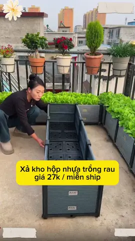 Hộp nhựa ghép trồng rau cao cấp tiện lợi chất lượng quá #xuhuong #dogiadung #dotienich #xuhuongtiktok 