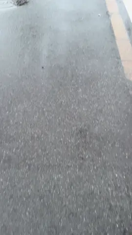 🥹 #kenshuseijapan🇮🇩🇯🇵🎌 #ichikohjapan #ichikohindonesia #pejuangyen🇮🇩🇯🇵 #jishusei🇯🇵🇲🇨 