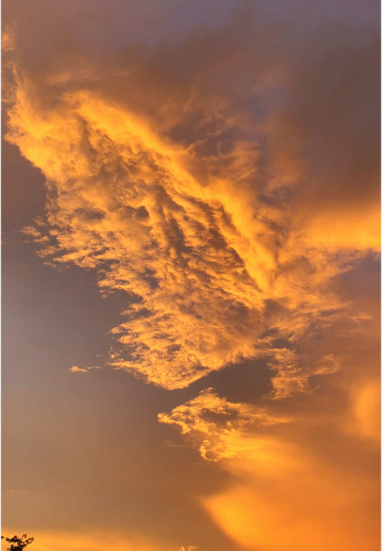 langit selalu punya cara tersendiri untuk terlihat cantik✨ #mentahan #mentahanvideo #polosan #statuswhatsapp #status #fyp #langit #langitaesthetic #awan #senja #indah #aesthetic #langitsenja #senja #fyppppppppppppppppppppppp #agz #butterfly #pemandangan #pemandanganalam 