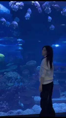 #wangyi #zhoushiyu #zsy #wy #châuthivũ #vươngdịch 