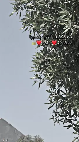 #اللهم_احفظها_لي_واجعلها_من_نصيبي🤲🥺 #حصنتك_بأسم_الذي_علقني_بك💙 #اللهم_نصيباً_يسعد_قلوبنا_🤲🏻🤍 #سودانيز_تيك_توك_مشاهير_السود🇸🇩 @مدامتووو🥺❤ 