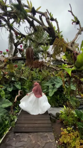 “Saat kita benar-benar terhubung dengan diri sendiri, Kita hanya ingin terus bertumbuh dalam damai.” #SelfImprovement #wisatabatu #eksploremalang #kotawisatabatu #wisatadusunkuliner #fyp 