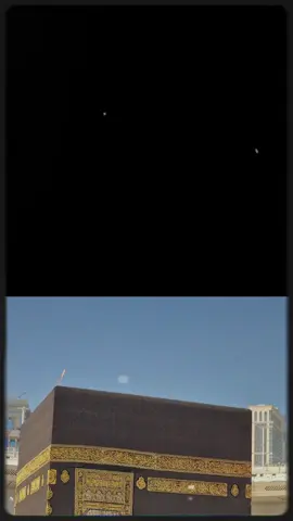 ###forpageyou #fouryou #grow @tiktok creators 