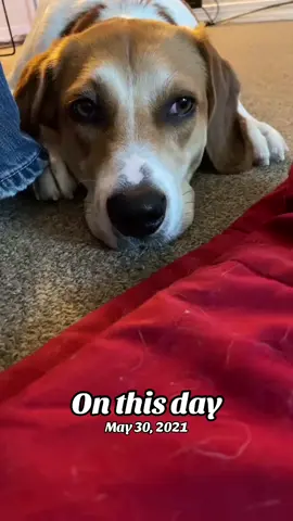#onthisday 