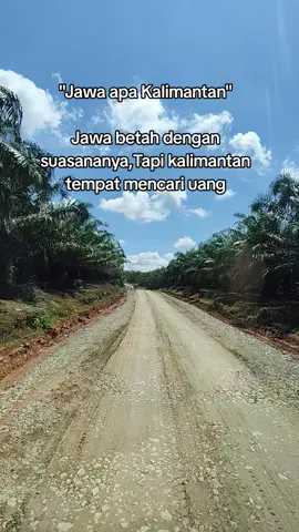 Rezeki nya ditanah kalimantan #anakrantau #jawa #kalimantan 