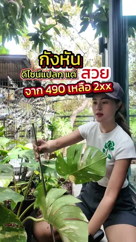 กังหันลมดีไซน์สวย แปลกแต่สวยมีอยู่จริง #กังหันลม #กังหัน #ของแต่งบ้าน #ของแต่งสวน #บ้านและสวน 