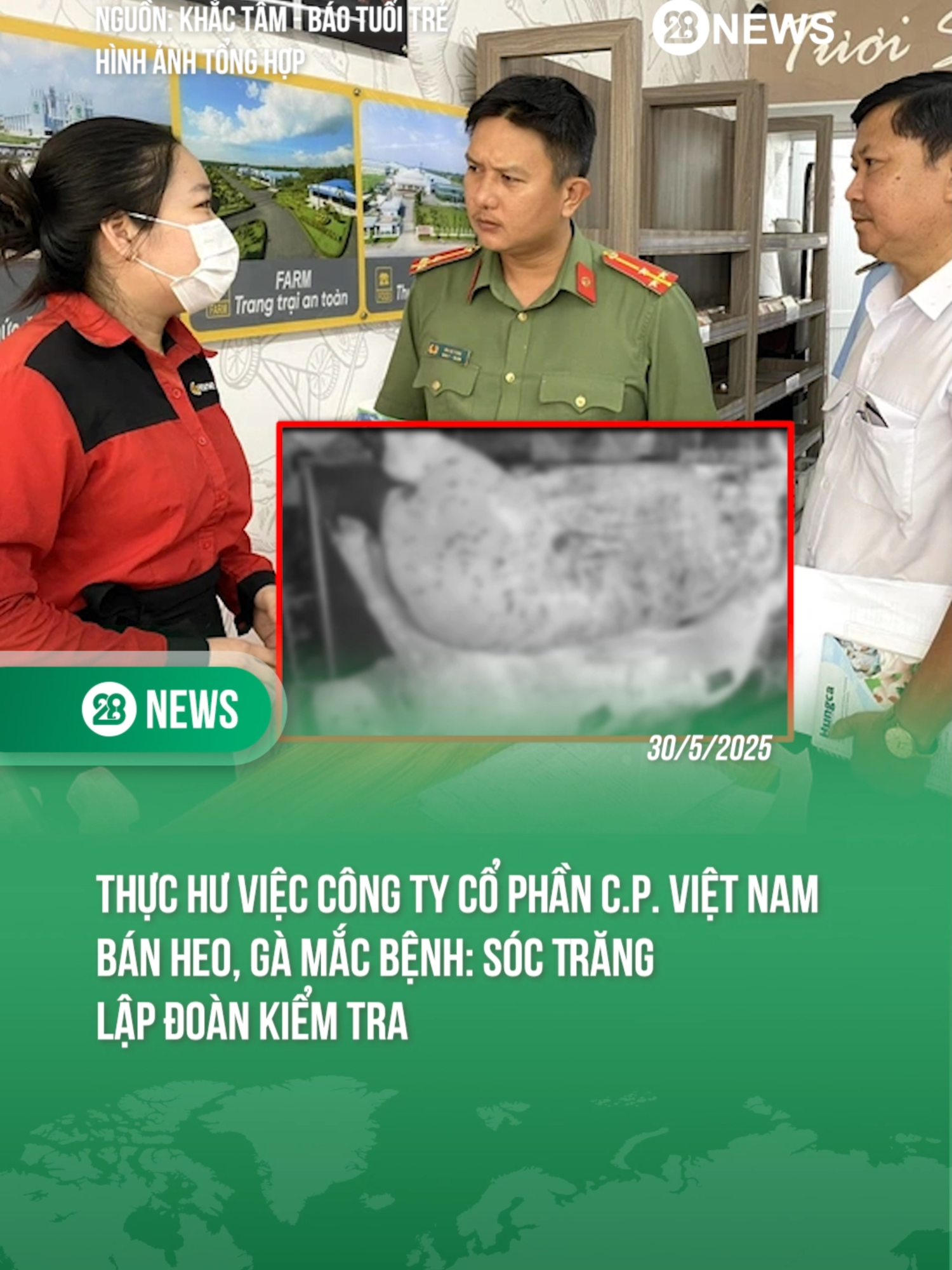 SÓC TRĂNG LẬP ĐOÀN KIỂM TRA CÔNG TY CỔ PHẦN C.P. VIỆT NAM BÁN HEO, GÀ MẮC BỆNH #theanh28 #theanh28news #tiktoknews