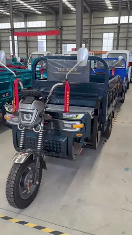 Electric tricycles! For cargo,load 500-2000KG,speed of 25-45km/h,80km with full charge! Looking for business partner! #electrictricyclefactory #threewheeler #electrictricycle 