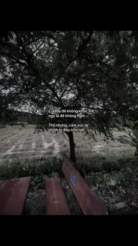 Cười là để không khóc, ngủ là để không nghĩ. Thế nhưng, cảm xúc lại chính là điều khó nói nhất... #xh #xuhuong #fyp #buon #viral #captions 