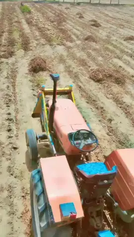 #tiktok #layyah #viralvideo 