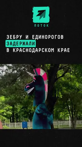 Зебру и единорогов задержали в Краснодарском крае #новости #россия #единорог #зебра