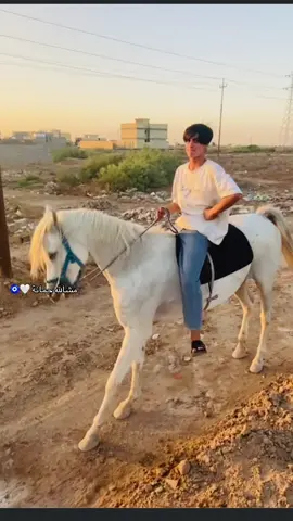 #قاسم💕😜 #شعب_الصيني_ماله_حل😂😂 #خيل_وخياله🐎 #خيول_عربية_اصيلة_🌹💙 #العمارة #واسط_كوت #تصميم_فيديوهات🎶🎤🎬 #خيل_عربي_اصيل #اكسبلور 
