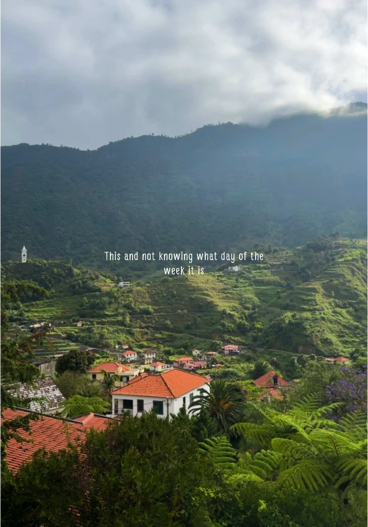so peaceful #madeiraisland #madeiraportugal #portugal #traveling #traveltok #traveltiktok #fypp 