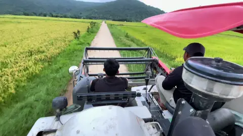 #xh #68kiengiang #36thanhhoa @danhthum06 @Duy Khánh 