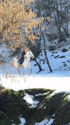 #خيل_وخياله🐎 #الخيل_من_خيالها #horseriding #horsegirl 