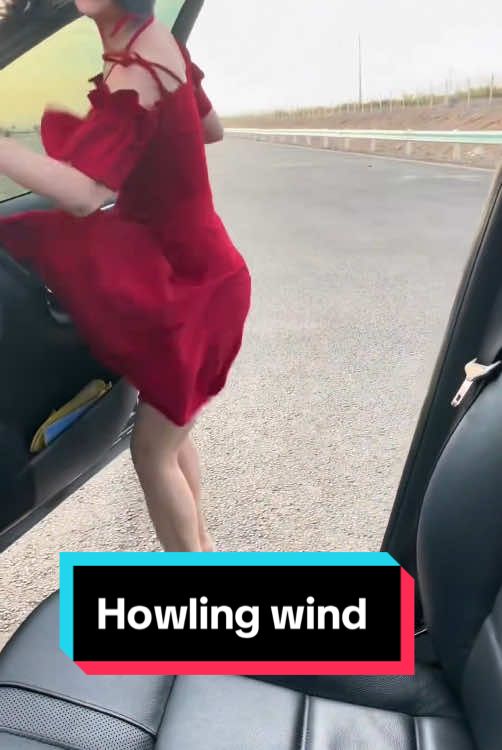 Howling wind #satifyingvideo #weather #rainstorm #satisfyingvideos #oddlysatisfying #fypシ 