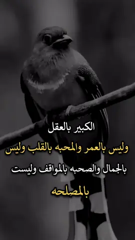 #عبارات #عبارات_جميلة_وقويه😉🖤 #افضل_عبارة_لها_تثييت 