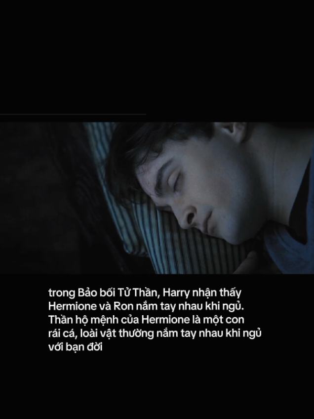 không thể ngừng yêu otp được #ronweasley #hermionegranger #harrypotter #harrypottertiktok #fyp 
