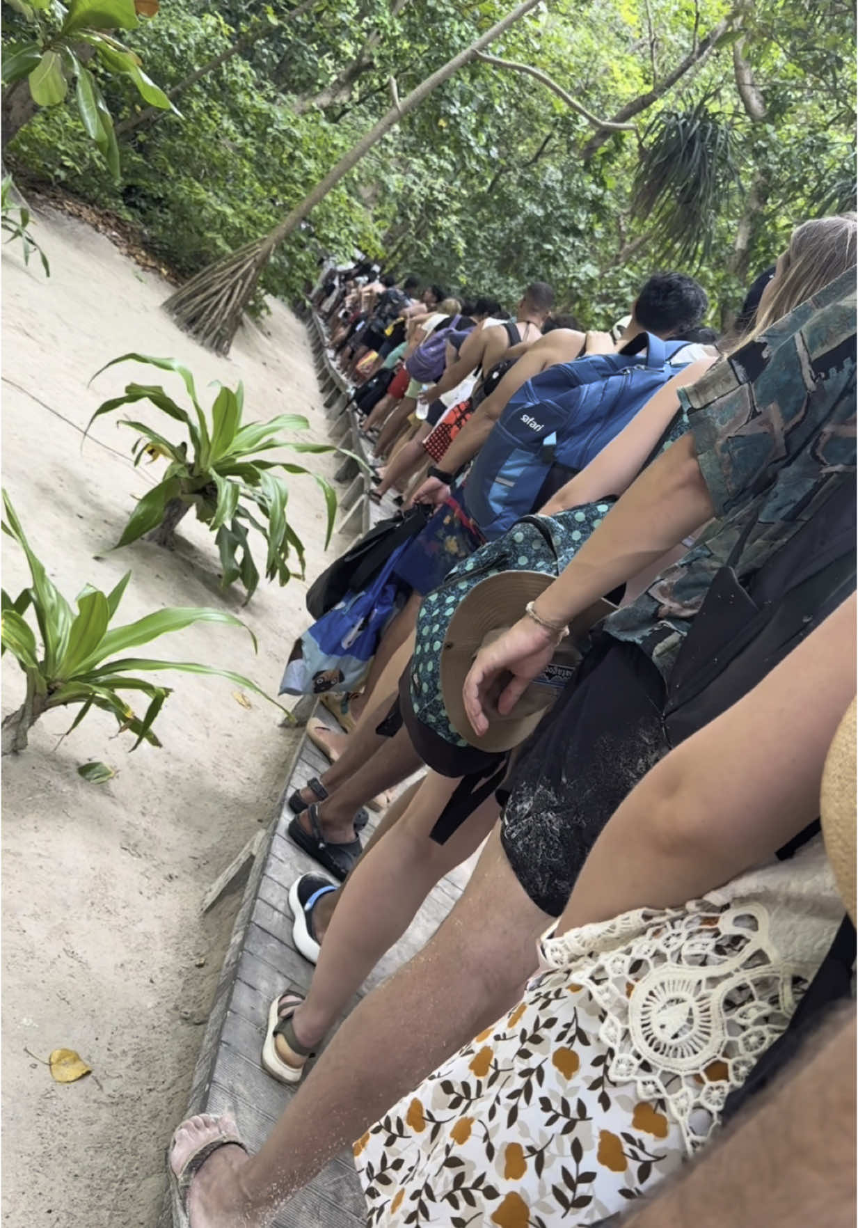 The crowds at Maya Bay in high season are ☠️ #thailand #mayabay #phiphiisland #travel 