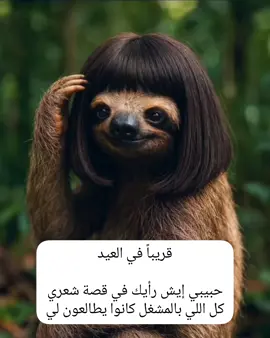 قريباً في العيد