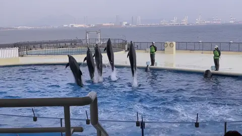 Mùa hè đến rồi đi thuỷ cung xem cá 🐬 tạt nước vào mặt đi mọi người 😆
