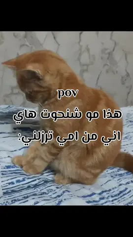 🦥#explore #اكسبلور #tiktok 
