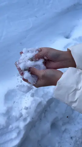 How powdery the snow in Hokkaido. Perfect for skiing! #skiresort #winter #furano #niseko #japan #powdersnow 
