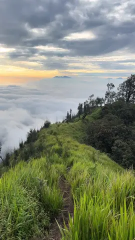 jurang senggani🥀#wilisjurangsenggani #puncakwilistulungagung #mountain #trendgunung #fyp 