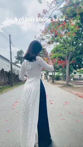 #thinhhanh 