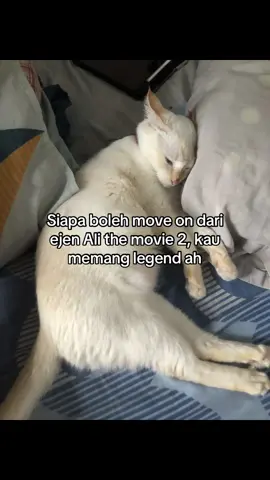 Movie tu dok replay dalam otak siak #fyp @Ejen Ali #EjenAli #viral #ejenalithemovie2 