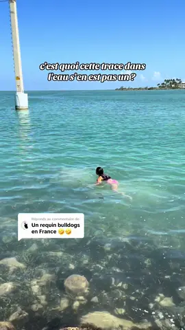 Réponse à @⃟ bah cest en FLORIDE 🇺🇸 mais je comprends pas pourquoi elle stress autant 😅 #floride 