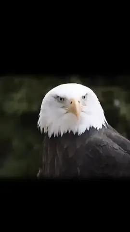 Tik Tok please don't disqualify my video#beutifful #talking #