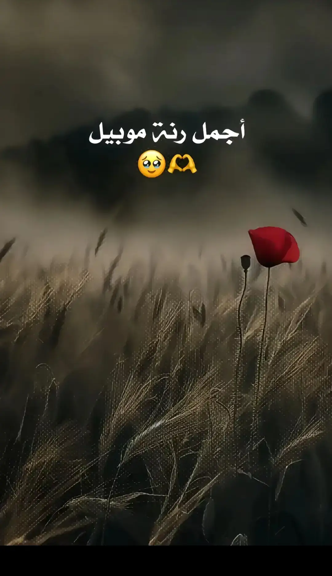 #نغمه_حزينه #foryoupage #نغمات_جوال #fypage #رنه_موبايل #fypシ゚viral🖤tiktok #تصميم_فيديوهات🎶🎤🎬تصميمي🔥 
