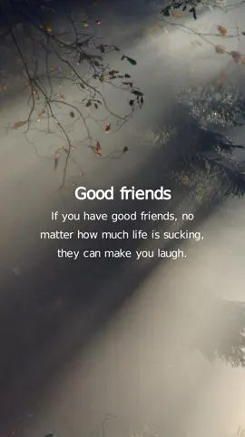 good friends..... If you have good friends, no matter how much life is sucking, they can make you laugh. #trurlines #lifelines #silence #life #poetry #quotes #motivationalquotes #inspirationalvideo #englishquotes #goodlines #goldenwords #deeplyhurt #deeplines 