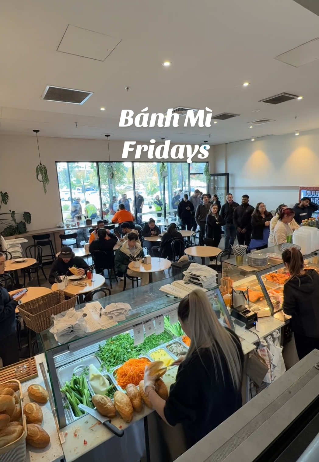 A busy Friday for the team  #houseofbanhmi #fyp #fypage #fyppppppppppppppppppppppp #banhmiofmelbourne #banhmi #vietnamesefood #vietnamesebanhmi 