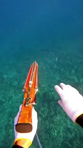 Spearfishing big fish #fishing #spearfishing #fishtok 