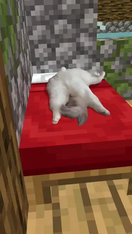 #funny #Minecraft 