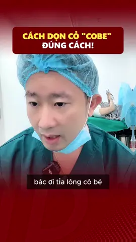 Làm Sao Để Dọn Cỏ Cô Bé Đúng Cách Và Duy Trì Chem Chép Khỏe Mạnh?#xuhuong #trending #bacsytuanduong