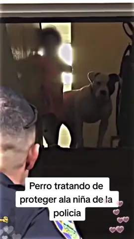 Dogs are the best guardians 🩷🩷#pet #dog #Love #tiktok #dogsoftiktok #foryou #dogs #fyp 