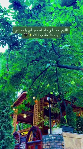 #السماوه_مدينتي🇮🇶❤️ #لايك #مشاهير_العراق #ستوريات #تصويري #العراق🇮🇶 #viral #هاشتاق #مشاهير_تيك_توك 